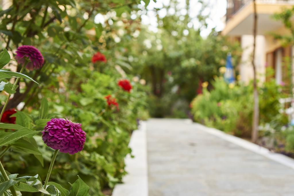 Christinantzela Apartments Kokkari Zewnętrze zdjęcie